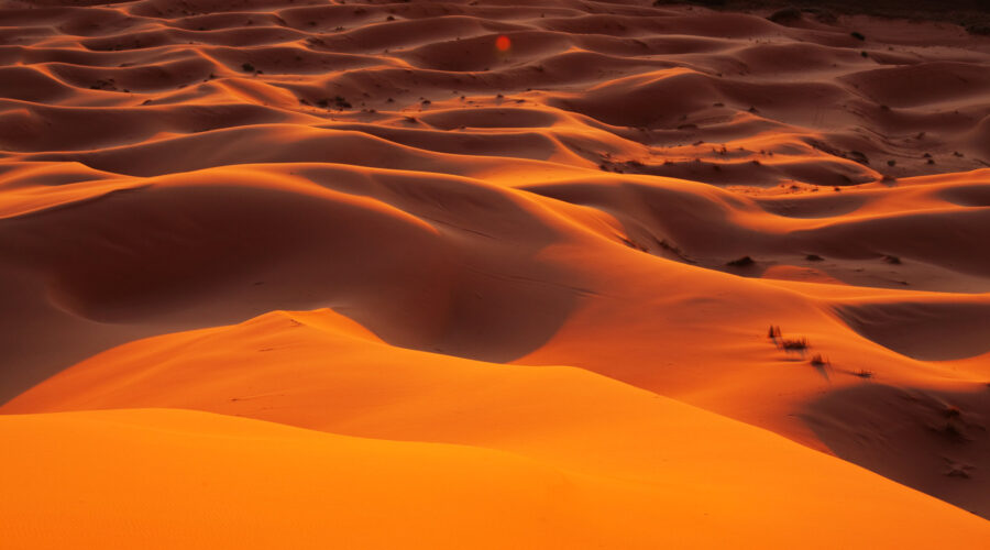 Mystery in the Sahara: Enigmatic Extraterrestrial Warship Crash-Lands Amid Global Crisis